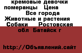 кремовые девочки померанцы › Цена ­ 30 000 - Все города Животные и растения » Собаки   . Ростовская обл.,Батайск г.